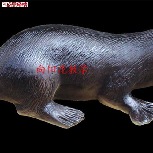 向阳花 彷真鸭嘴兽模型  教学 动Z物模型厂家直
