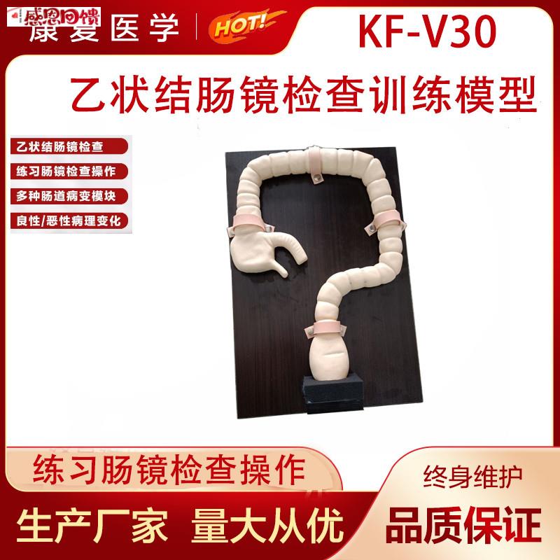 乙状结肠镜检查J模型 肠镜检查演示训练教学模型 自然大肠镜模