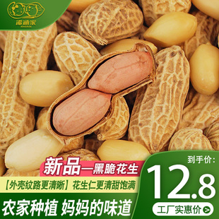 浠涵家新农家水煮黑脆花生白晒干咸水煮咸干湿烤400g袋装零食坚果
