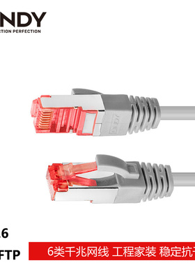 德国LINDY Cat.6类S/FTP工业级双屏蔽跳线交换机数据中心千兆网线