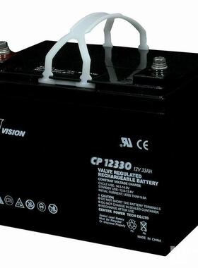 威神VISION蓄电池CP12170E-X/12V17AHUPS电源EPS电瓶计算机机房