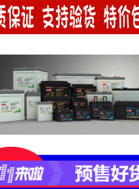 法国RUZET 12V90AH路盛蓄电池12LPA90免维护电池直销包邮电瓶电源
