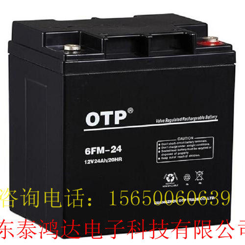 OTP蓄电池6-FM24/12V24AH进口电瓶原装正品现货包邮ups电源汤包邮