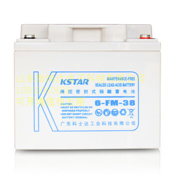 科士达蓄电池6FM-3812V38AH机房光伏12V1712V2412V65V12V4012V65