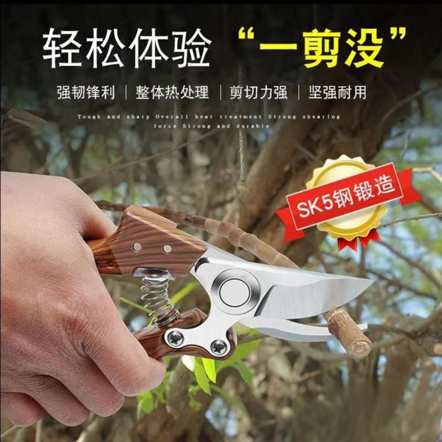 果树修枝剪树枝专用花艺花卉