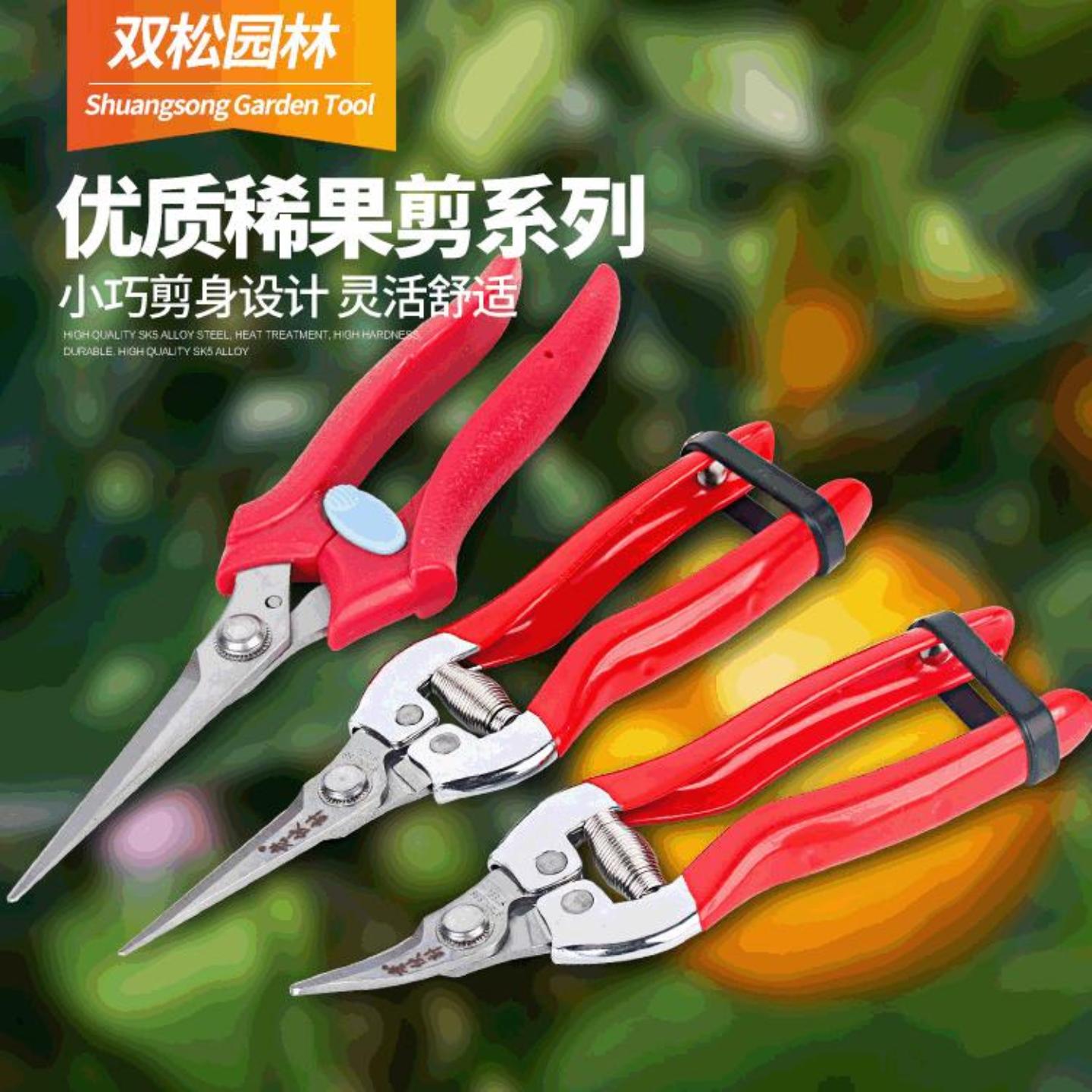 修枝剪园艺花剪园林工具梳果剪