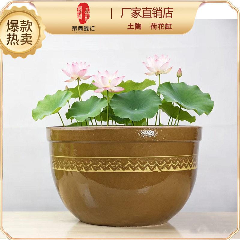 水土陶荷花龟缸家用养鱼139养种睡莲大缸厚无铅无毒陶瓷加花盆