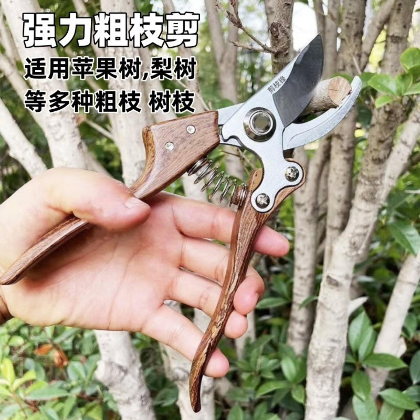 果树修枝剪树枝专用花艺花卉