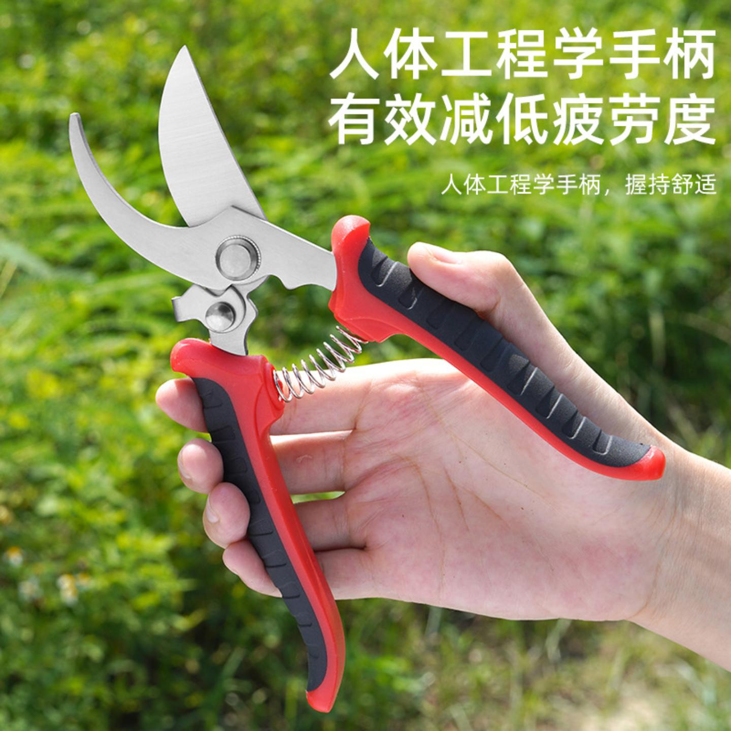 果树修枝剪树枝专用花艺花卉
