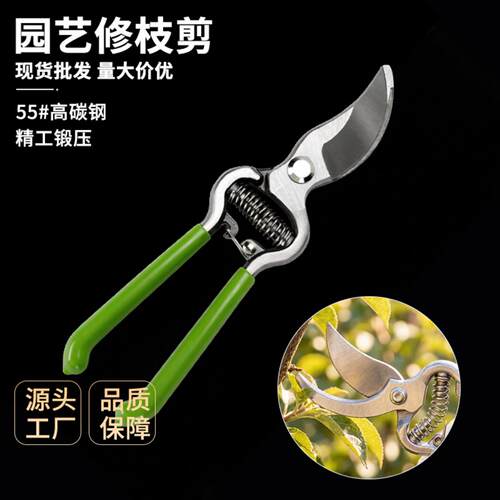 果树修枝剪园林剪树枝专用剪刀