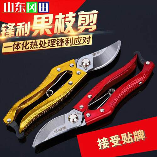 现货修枝剪刀果枝剪树剪园林果树