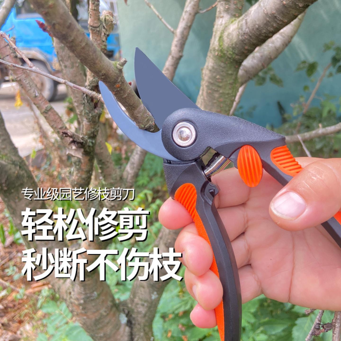 剪枝剪刀花剪修枝剪果树修剪树枝