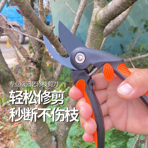 剪枝剪刀花剪修枝剪果树修剪树枝