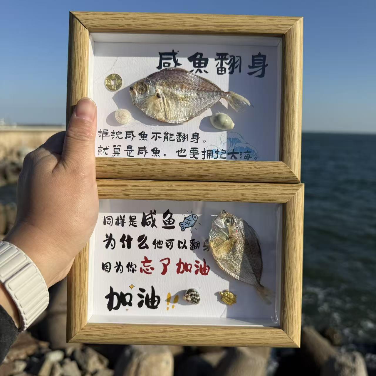 天然标贝壳海螺螃蟹海参咸鱼工艺品摆件相框家居本创意装手饰.