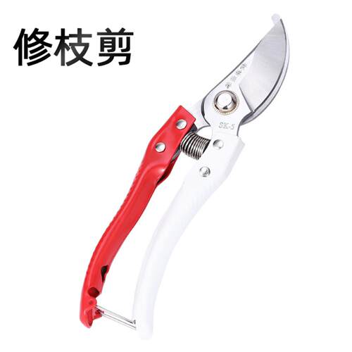 红白园艺剪刀修枝剪摘果剪整枝剪