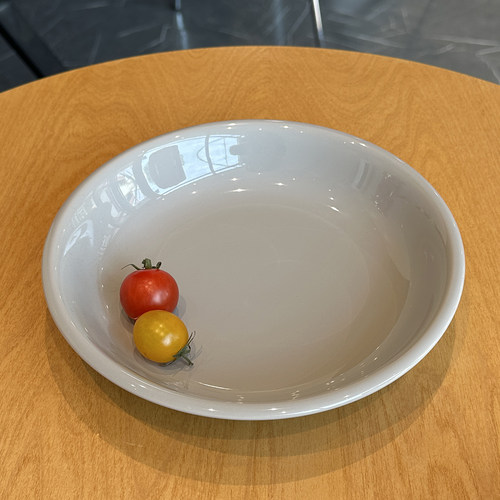 德士敦Tuxton简约陶瓷圆盘家用