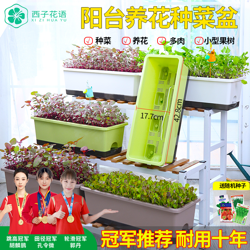 塑料花盆阳台种菜盆自吸水草莓盆