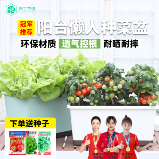 阳台种菜盆专用箱加大号花盆家用栽花卉种植箱长方形塑料厂家直销