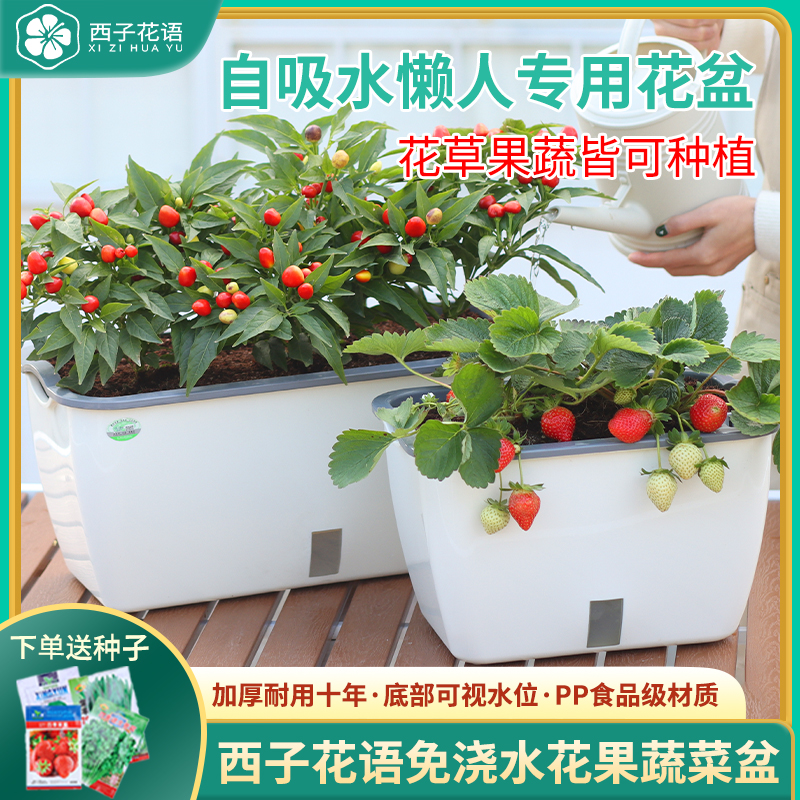 全新抗菌材料种菜专用箱耐用十年