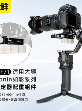 芯鲜PF71适用大疆稳定器配重组件RS4 RS4Mini RS3 RS2 RSC2 SC S如影智云WB3S/WB3E云台配重块支架竖拍配重夹