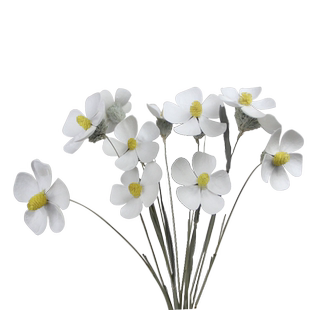 紫罗兰干花花束真花装饰摆件客厅摆设轻奢室内插花瓶永生花束送人