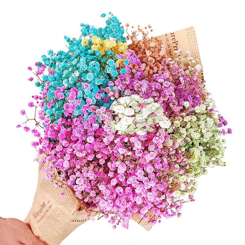 满天星干花花束客厅摆设