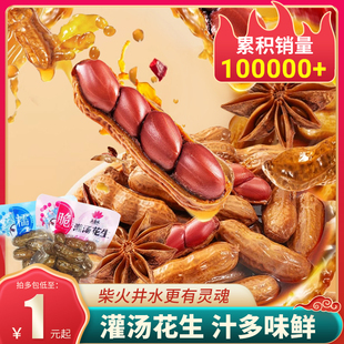 五道味灌汤卤花生带壳水煮湖南特产追剧宵夜办公解馋零食休闲小包