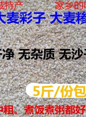苏北盐城农家特产煮粥煮饭大麦采麦糁子磨碎中粗大麦彩子5斤包邮