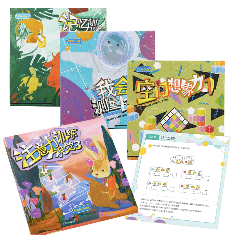幼儿园思维训练幼小衔接早教教具