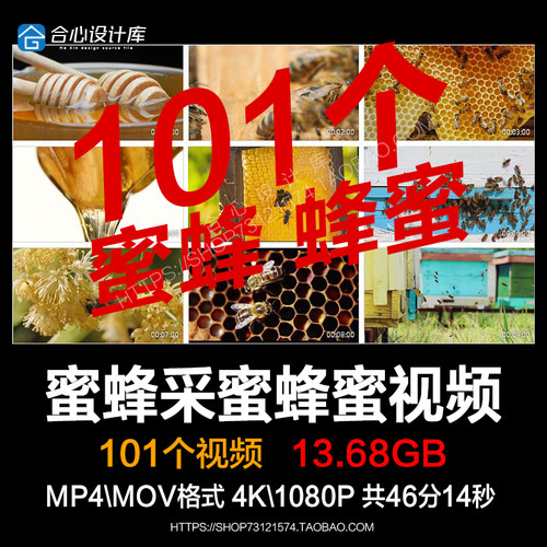 蜜蜂采蜜 液体蜂蜜 块状蜂蜜 蜂窝蜂箱 养蜂业 4K高清视频素材