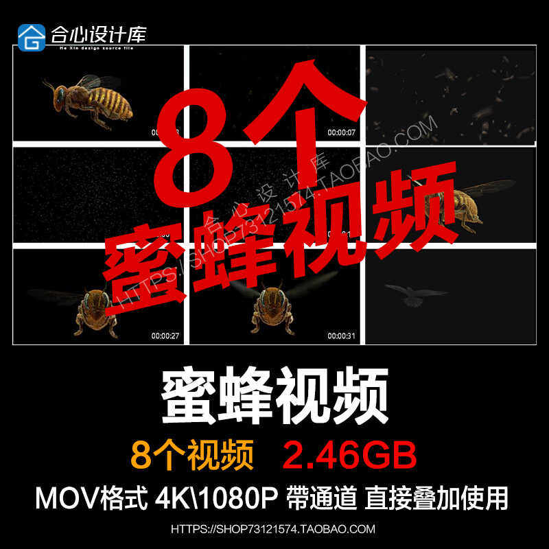 AE/PR特效真实蜜蜂昆虫空中飞翔苍蝇群视频素材元素透明通道 - 实物图