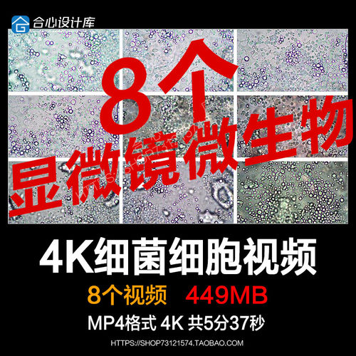 8部显微镜下的微生物细菌细胞生物高清实拍视频素材包