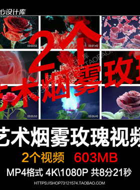 高清唯美艺术白色情人节玫瑰花演出舞台LED大屏幕背景视频VJ素材