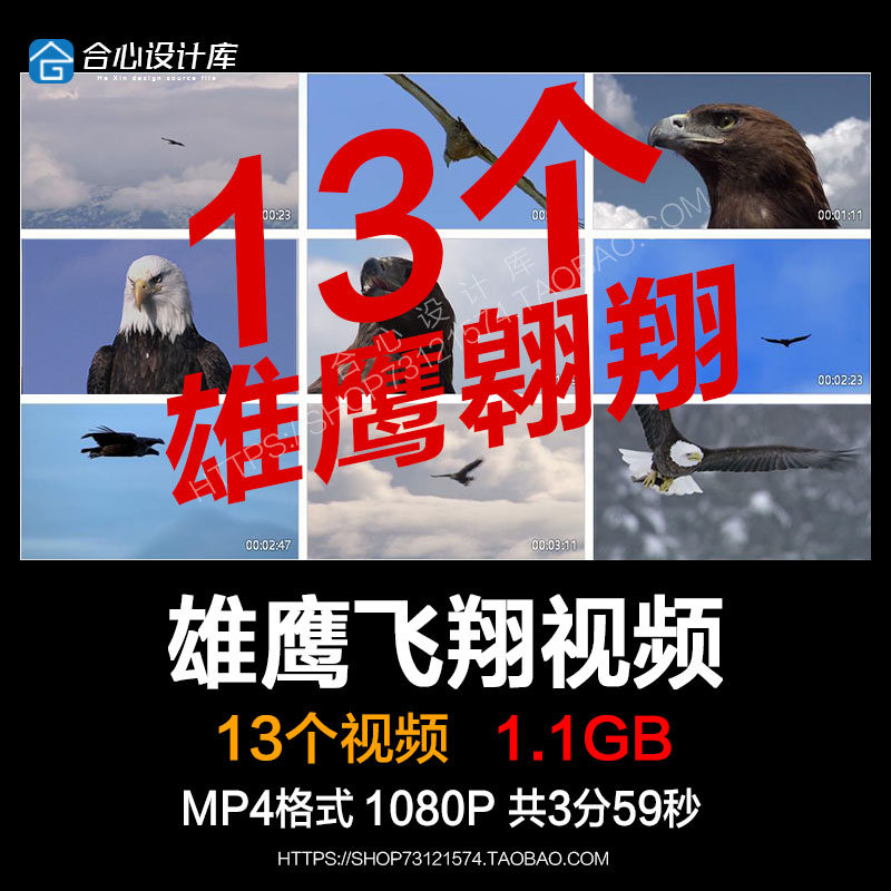 雄鹰飞翔鹰眼翱翔大鹏展翅长空老鹰高飞过雪山企业励志短视频素材