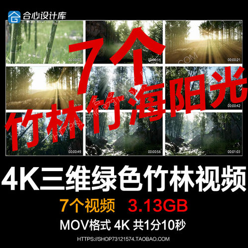 7部三维绿色竹林竹海阳光高清实拍视频素材包