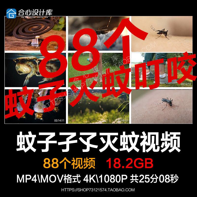 花斑蚊子幼虫吸血登革热驱蚊孑孓灭蚊蚊香叮咬皮肤挠痒视频素材