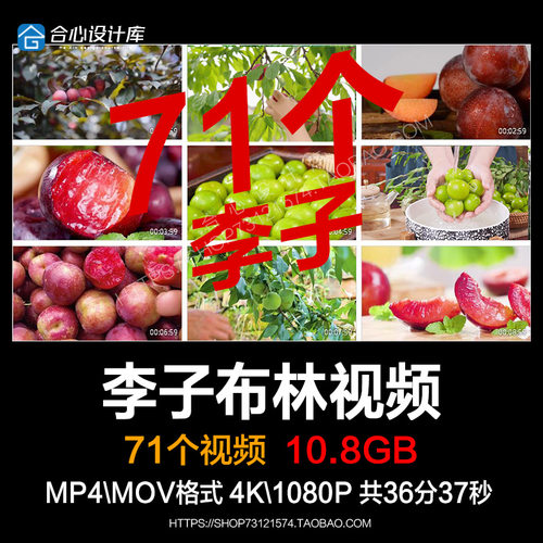 李子水果青李子青脆红肉黑布林果园果树成熟李子采摘实拍视频素材