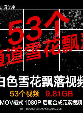 下雪大雪冬天季白色冰雪花飘落唯美动画高清透明通道mov视频素材