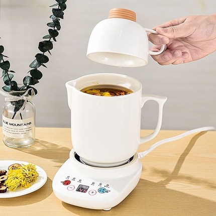 多功能养生热水壶电炖杯电热杯小型自动煮粥神器杯办公室烧水杯