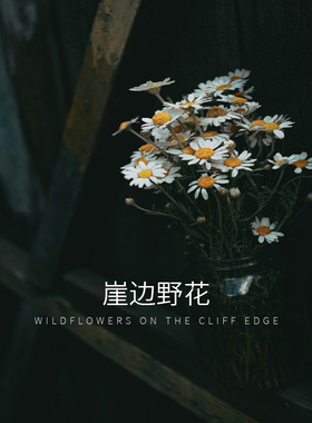 花香调无火香氛空调喷雾