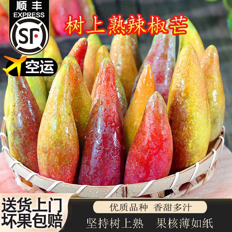 现摘顺丰海南辣椒芒牙签芒 树上熟小芒果新鲜当季水果礼盒装大果