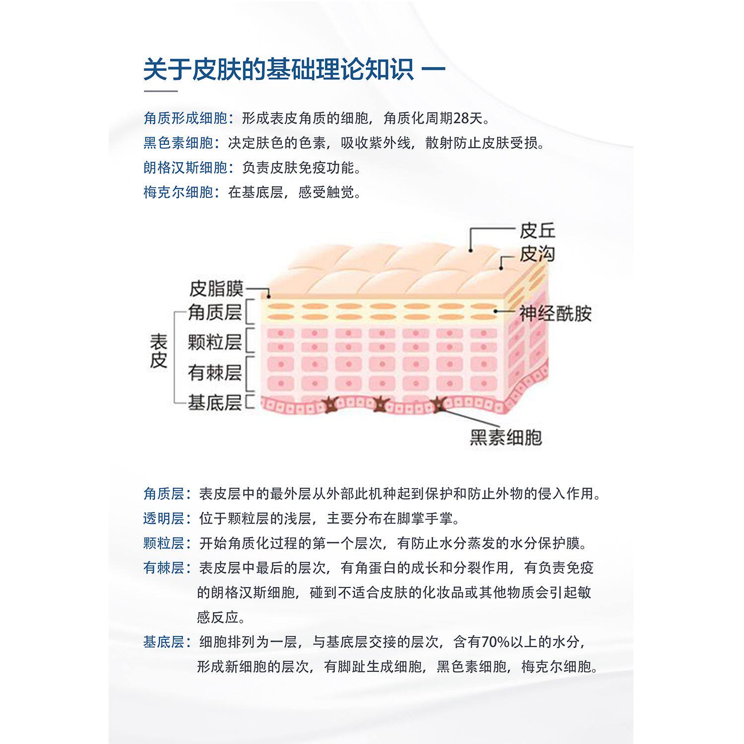 皮肤病墙贴纸皮肤疾病常见图谱医院皮肤科挂图宣传海报装饰画广告