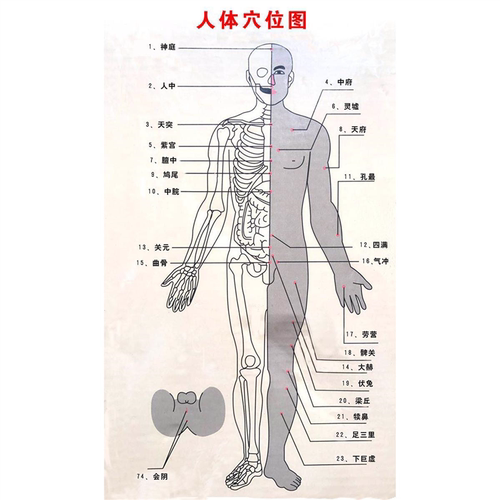 海报中医养生人体经穴与病症对照海报贴纸经络穴位针炙海报贴画