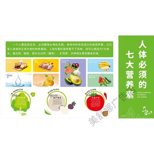 人体七大营养素和食物来源养生医学健康常识知识宣传背胶海报装饰