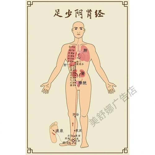十二经络及任督二脉穴位图人体穴位图经络挂画中医养生馆海报墙贴