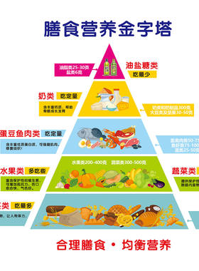 新版膳食宝塔模型中国居民平衡营养指导膳食金字塔模型食物交换份