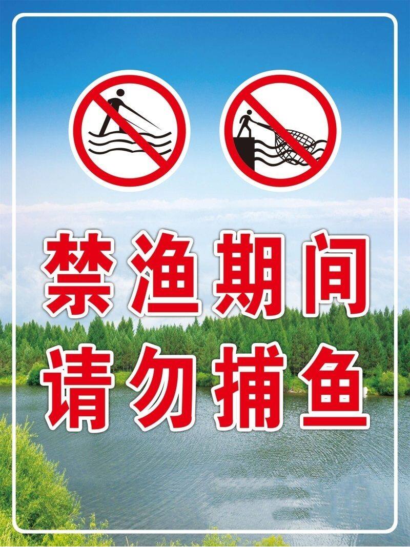 禁渔期间请勿捕鱼海报展板禁止钓鱼禁止钓鱼违者重罚墙贴墙纸kt板