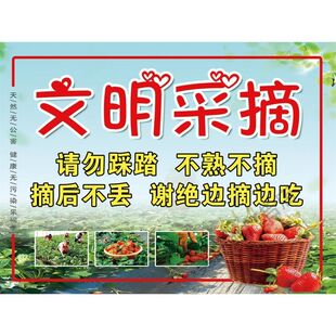 文明采摘海报采摘须知草莓广告牌入园须知草莓广告贴纸自粘海报