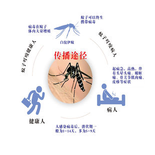 预防登革热宣传海报挂图墙贴自粘宣传展板墙贴挂图KT板