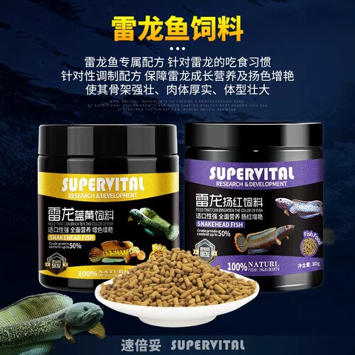 速倍妥增色雷龙鱼蓝黄扬红发色